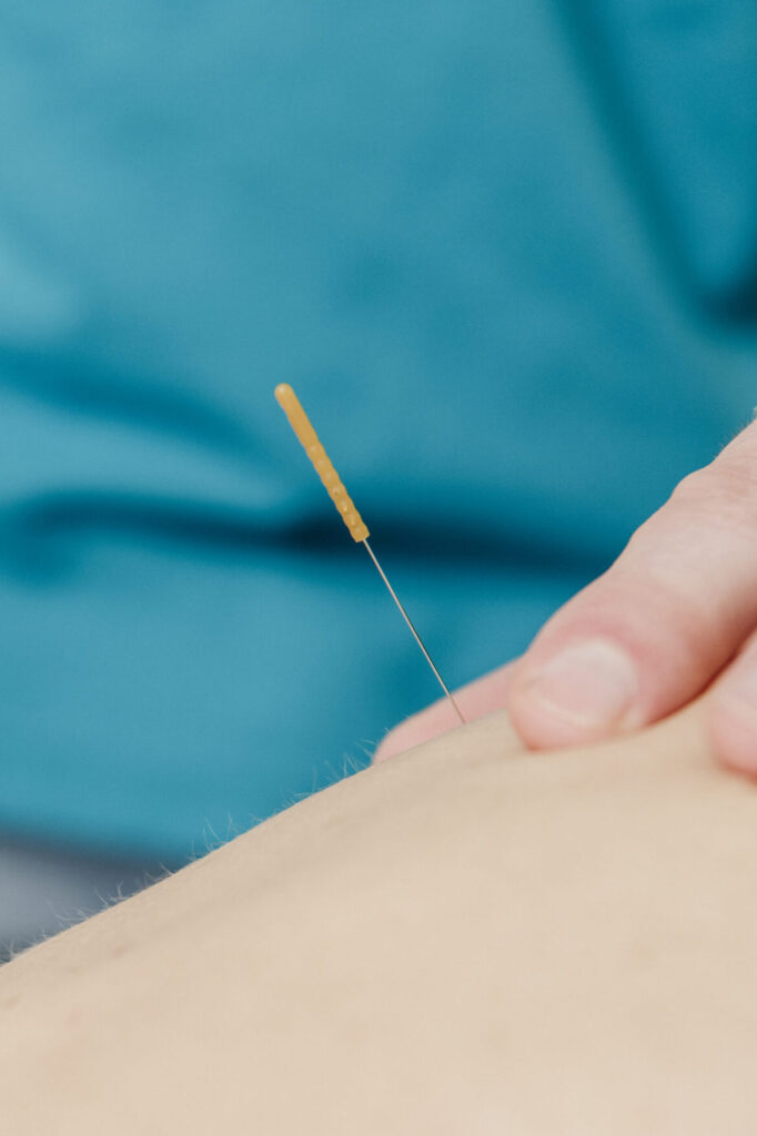 StudioPichot FysioLOZ25 7469 1 scaled e1762549690564